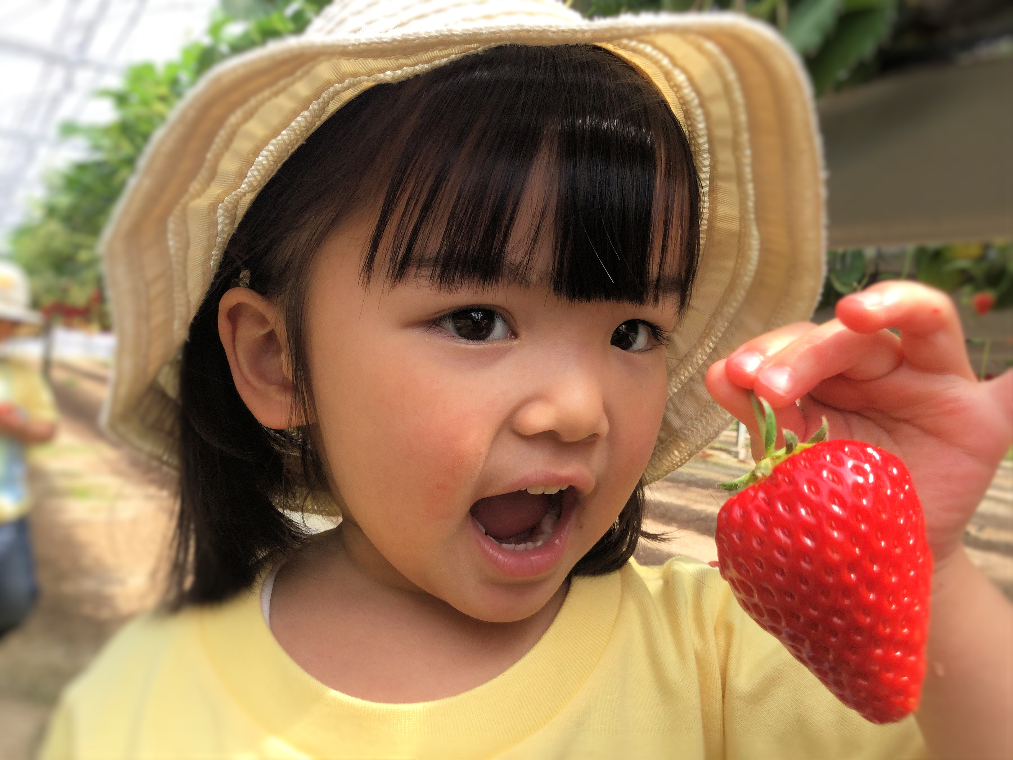 Strawberry Picnic 2016